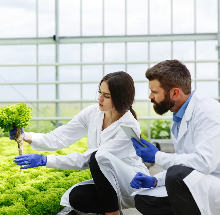 Ingénieur en environnement etudes à l'étranger